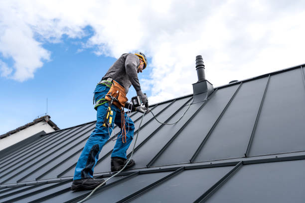 Best Roof Maintenance and Cleaning  in Independence, MN